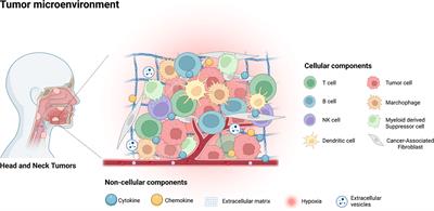 The role of nanotherapy in head and neck squamous cell carcinoma by targeting tumor microenvironment